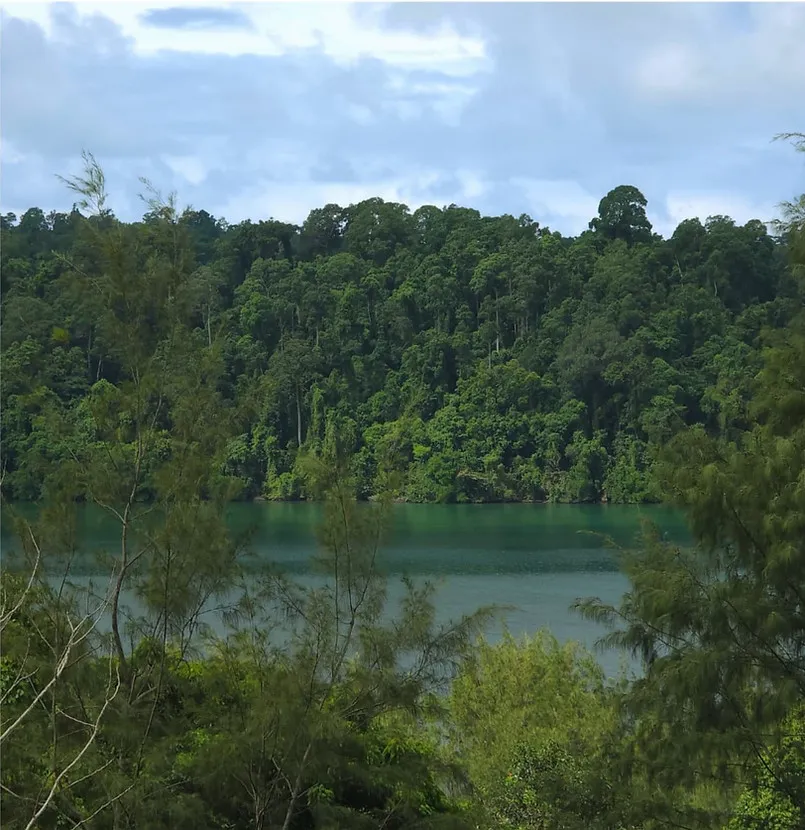 View of Triboa Bay from the property