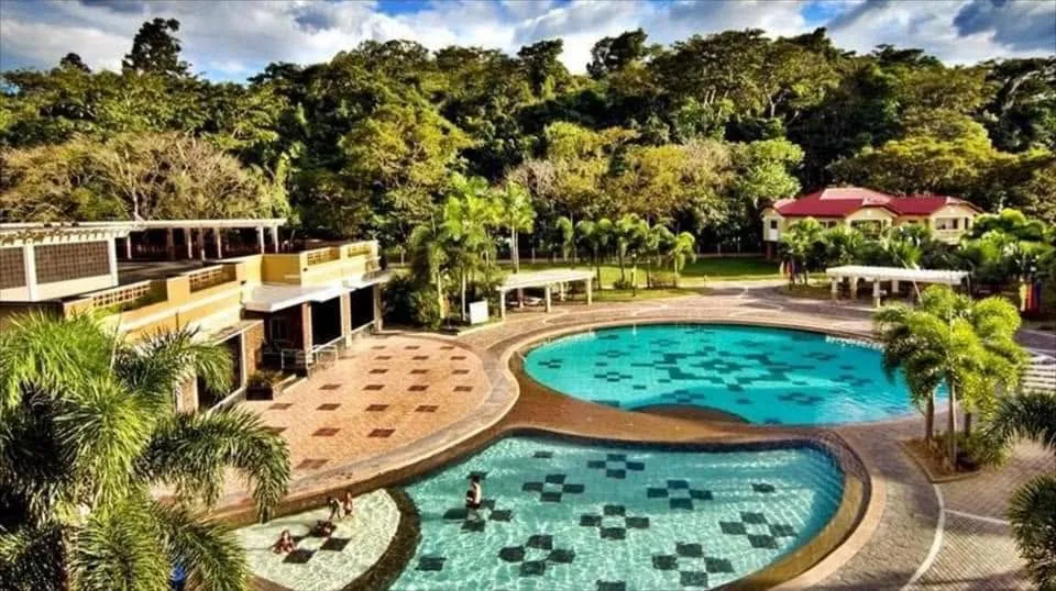 Aerial view of the pool and grounds