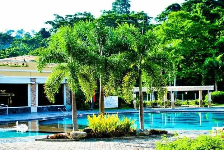 Palm-lined pool area