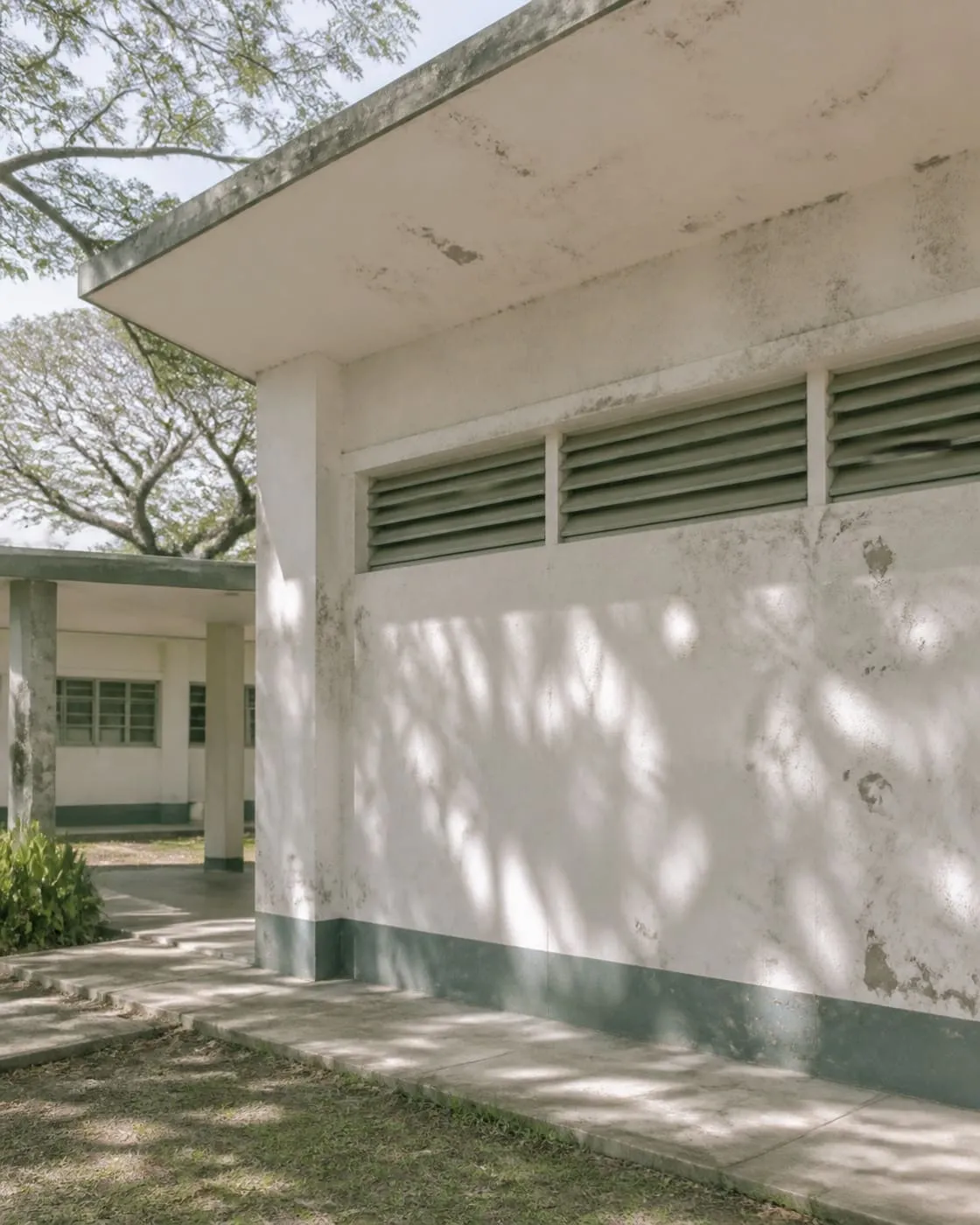 A weathered whitewashed naval-era building facade with louvred windows and wide overhanging eaves, dappled acacia shade across the wall, overcast daylight, no people.