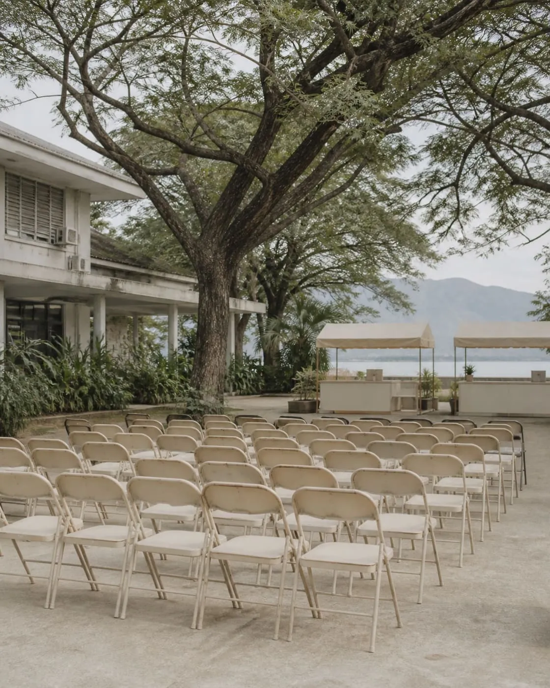 Rows of empty folding chairs set up under large shade trees, simple market stalls with plain cloth awnings visible in the background, no crowd.