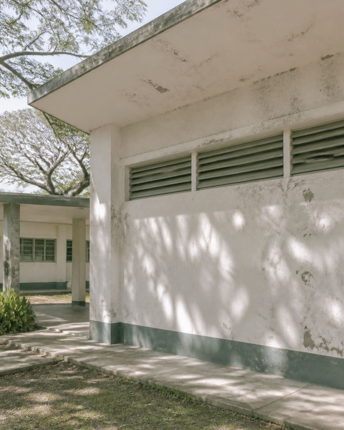 A weathered whitewashed naval-era building facade with louvred windows and wide overhanging eaves, dappled acacia shade across the wall, overcast daylight, no people.