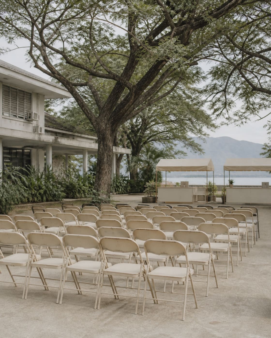 Rows of empty folding chairs set up under large shade trees, simple market stalls with plain cloth awnings visible in the background, no crowd.